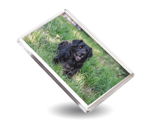 JUMBO Personalised Photo Magnet
