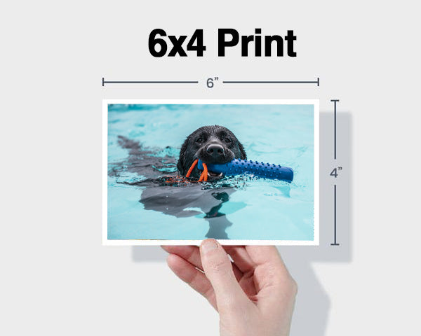 6x4 Photo Print (15.24 x 10.16 cm)