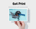 6x4 Photo Print (15.24 x 10.16 cm)